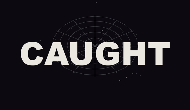 Preview of Web Snare — CAUGHT